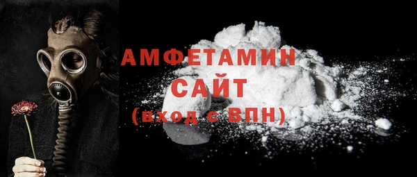 амф Горняк