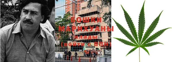 амф Горняк