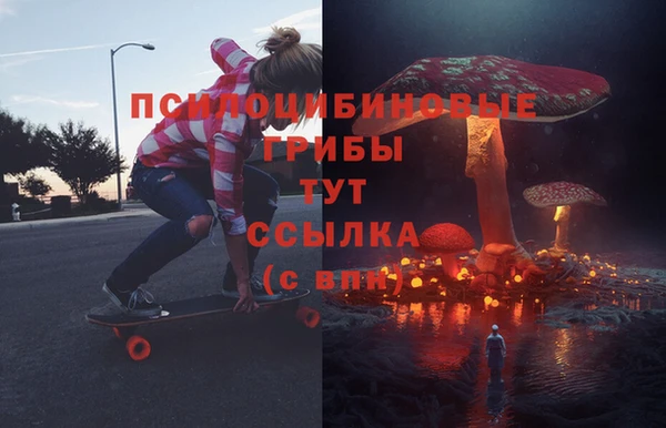 амф Горняк