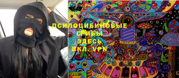 соль ск Горно-Алтайск