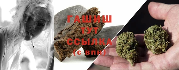 амф Горняк